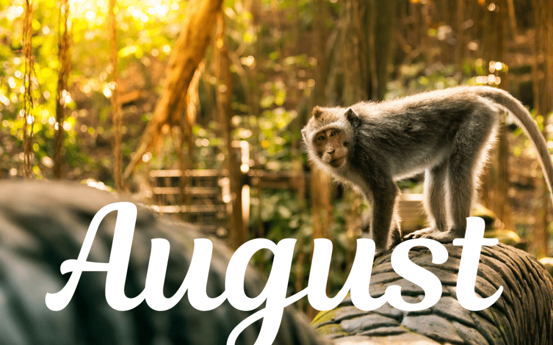 August – mesiac Opice