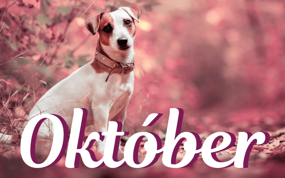 Október – mesiac Psa